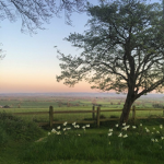 Vineyard Venues
