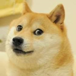 Dogue el prro donaciones ok