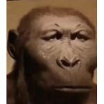 Yeeter Skeeter club