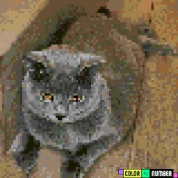 cat roll icon