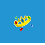 KingPoodle's Other Group