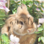 Angelz' Clothing