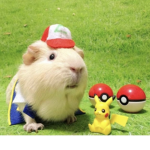Nintendo's Friends!