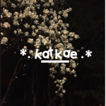 *. katkae .*