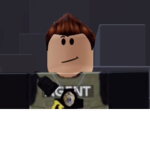 Bail Agents