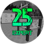 Expert