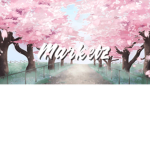 Marketz¥