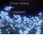 !Sc3ene clothing