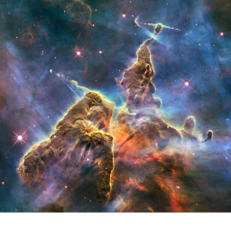 Slime in space