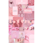 Ｂｌｕｓｈ Ｓｏｆｔｉｅｓ