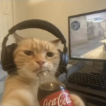 SKITTLES FAN COUB