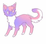 Space Fox