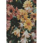 :) floral flowers :)