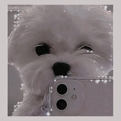 29 UGCS Roblox group icon