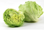Lettuce fan club PS LETTUCE RULES