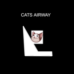 Cats airways