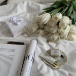  ✧･ﾟ: *✧･ﾟ:*