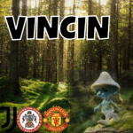 Vincin