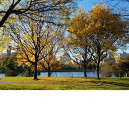 Relaxing park