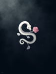 Shinki • 新規