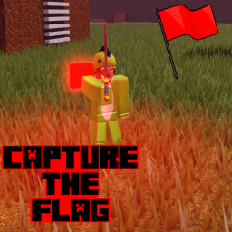 Capture The Flag Wars.