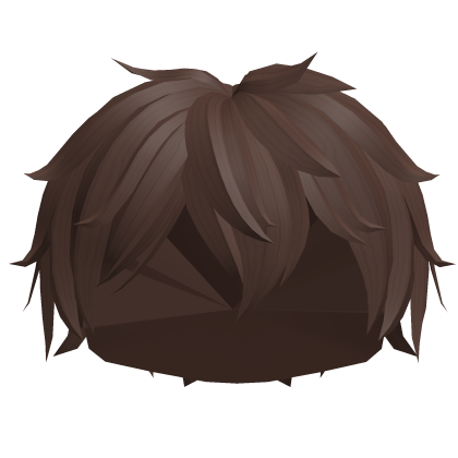 Messy Boy Hair in Brown