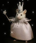 Vex’s rats