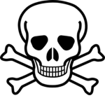 SkeletonStudios