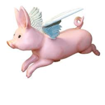 fat pigs flying