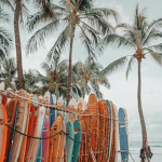 - Benjis beachstore -