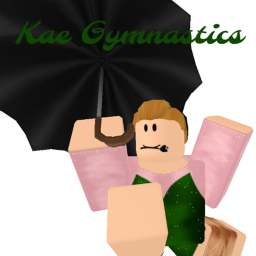 Kae Gymnastics Main Gym