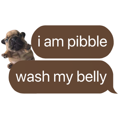 i am pibble wash belly text