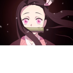 The Demon slayer Life