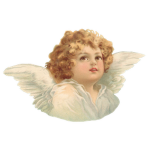 -*angel avenue*-