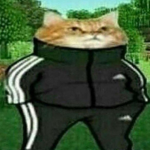 Fanowie Jackpota
