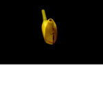 Nice Golden Bananas