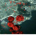 Ｒｏｓｅｄ Ｆｌｏｗｅｒｓ