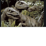 JURRASIC PARK GROUP!!!!!!!!!