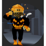 Shadow’s fans
