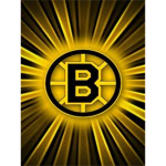 bruins rock
