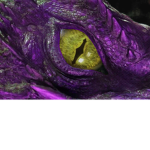The Clan of the Purple Dragons