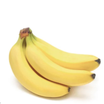 XXTMSXX