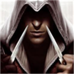 The Shodow Assassins