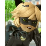 M'ladybug and Cat noir
