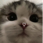 Lxxci
