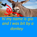 hi my name is gio and i was bit by a donkey