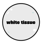 화이트 조직(white tissue)