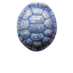 Blue Shell Comics©