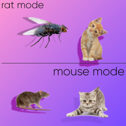 Cats games [fly minigame dose not work sorry]