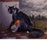~ • [ RainClan ] • ~